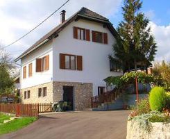 Ferienwohnung A1 in Poljanak