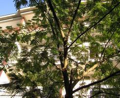 Ferienwohnung Apartman A3 in Sukosan